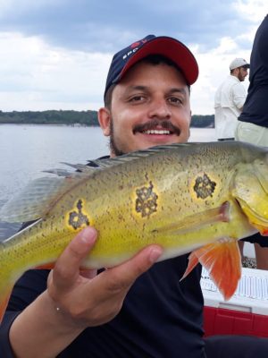 O Instituto de Proteção Ambiental do Amazonas (Ipaam) reforça a importância da emissão da Carteira de Pesca, documento obrigatório para quem deseja pescar legalmente em rios sob domínio da União. A boa notícia é que o serviço está disponível de forma digital, por meio do app Ipaam Digital, disponível para aparelhos celulares com o sistema Android, e pelo site sistemas.ipaam.am.gov.br/carteira-pesca/login.
