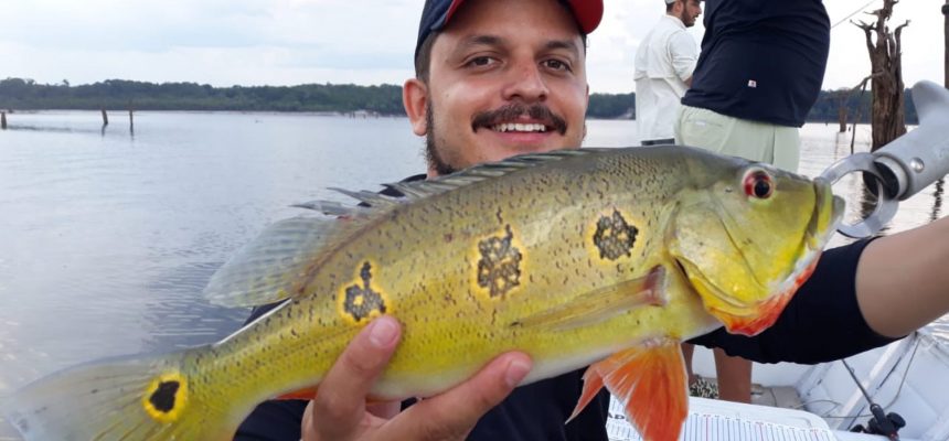 O Instituto de Proteção Ambiental do Amazonas (Ipaam) reforça a importância da emissão da Carteira de Pesca, documento obrigatório para quem deseja pescar legalmente em rios sob domínio da União. A boa notícia é que o serviço está disponível de forma digital, por meio do app Ipaam Digital, disponível para aparelhos celulares com o sistema Android, e pelo site sistemas.ipaam.am.gov.br/carteira-pesca/login.